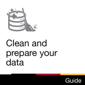 Guide: Clean and prepare your data